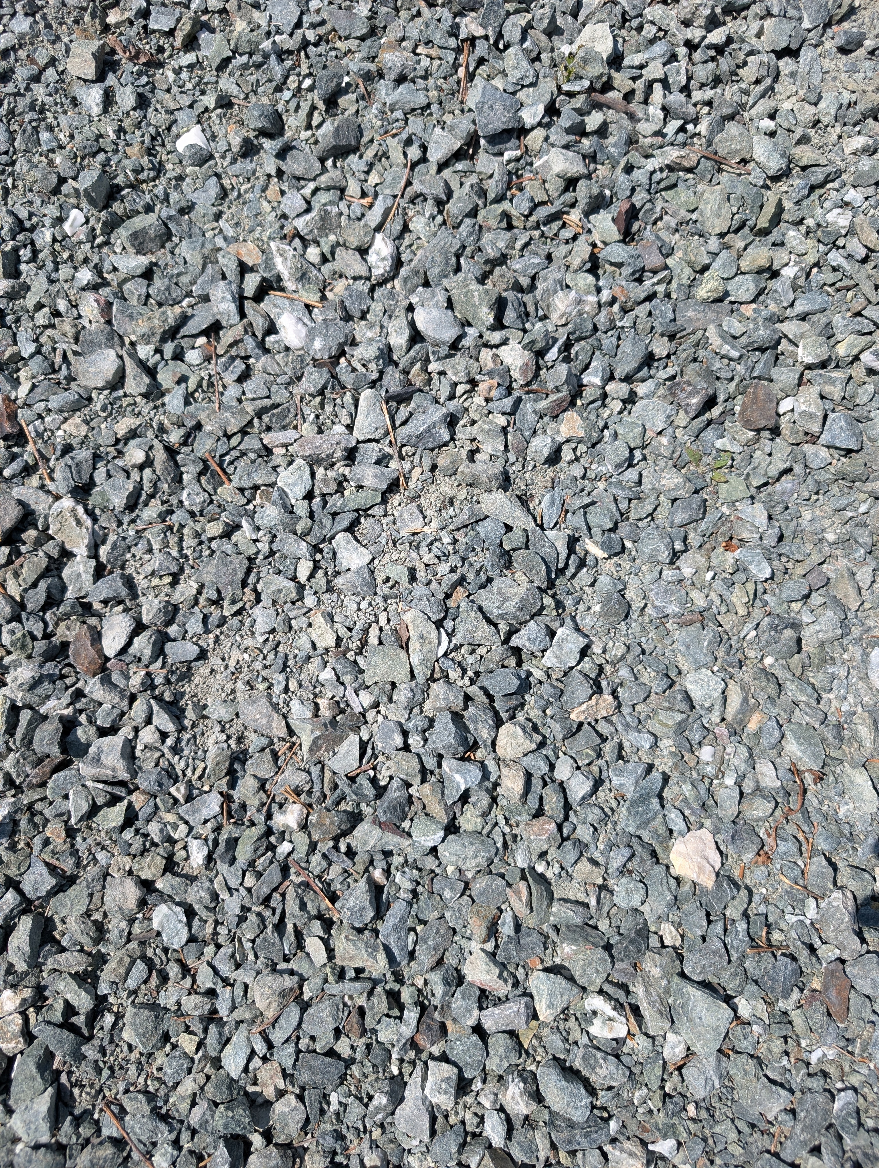 Green/Blue Driveway — Dry