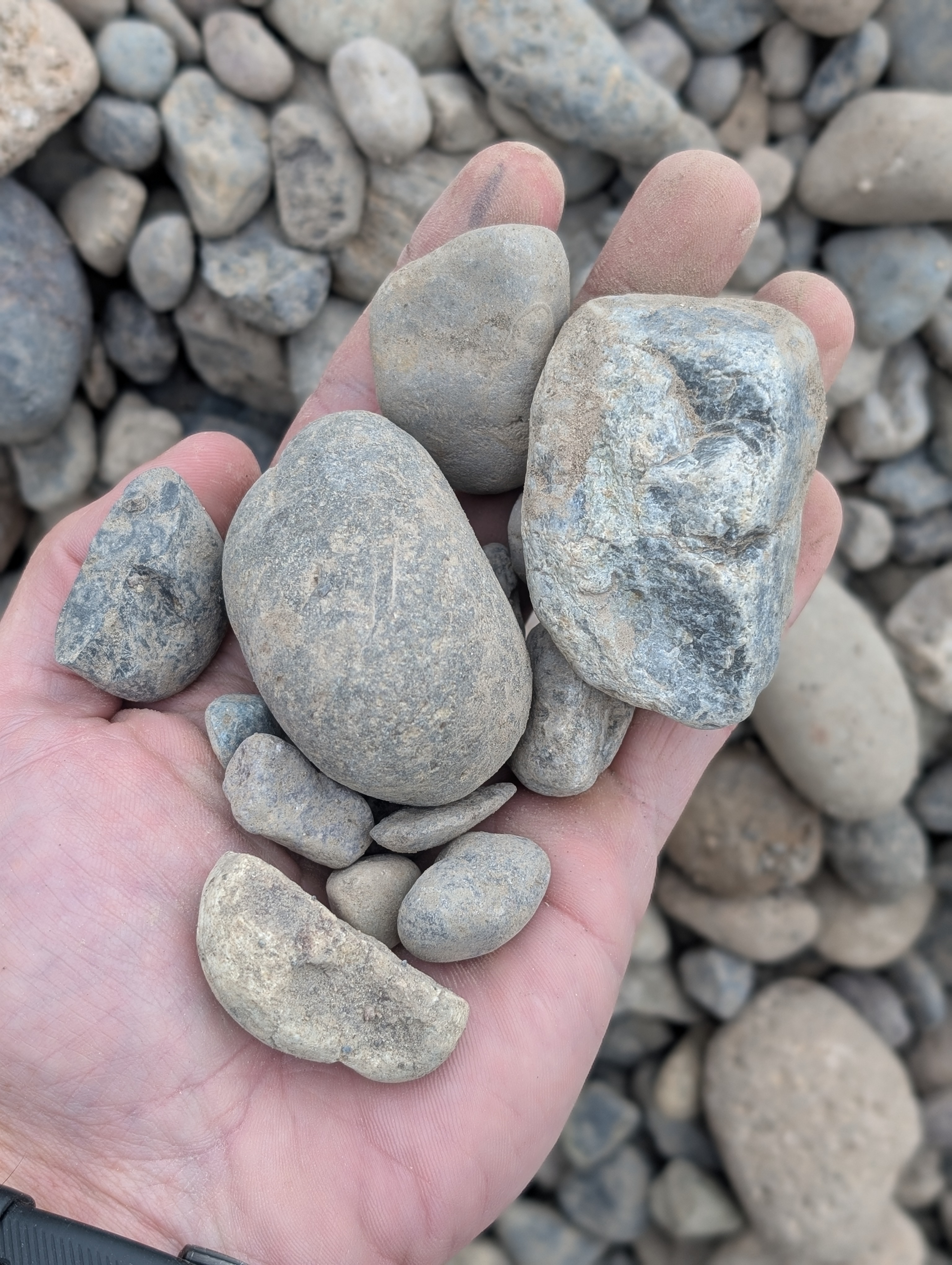 Washed Drian Rock 3/4"-2" — Up close